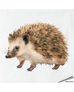 Servetten Egel | 20 stuks | 3-laags | Vogelhuisje.com