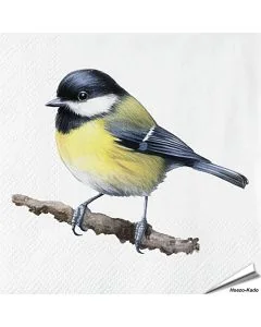 Servetten Koolmees| 20 stuks | FSC & 3-laags | Vogelhuisje.com