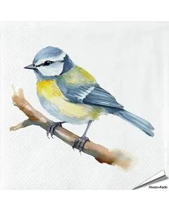 Stijlvolle servetten met een pimpelmees-print van Esschert Design ✔️ FSC-papier, 3-laags, biologisch afbreekbaar ✔️ Perfect voor elke tafelsetting ➤ Bestel nu op Vogelhuisje.com