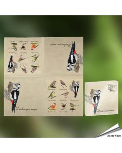 Servetten - Tuinvogels (20 stuks)