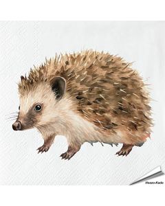 Servetten Egel | 20 stuks | 3-laags | Vogelhuisje.com