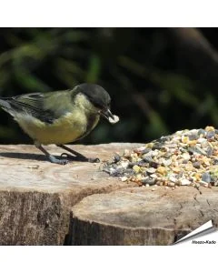 Aniculis Tarwevrij wildvogelvoer 10 kg van premium kwaliteit ✔️ Evenwichtige voedermengeling voor wilde vogels ✔️ Het hele jaar door – Voor tuinvogels ➤ Online kopen bij Vogelhuisje.com