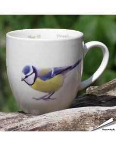 Mok - Pimpelmees 'Elwin van der Kolk'