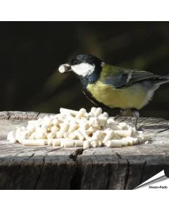 Traktatie met meelwormen voor Koolmezen | Vogelhuisje.com