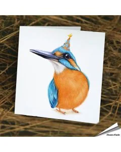 Mooie verjaardagskaart met een ijsvogel met feesthoedjes ✔️ Dubbele kaart, met blanco binnenkant ✔️ FSC papier ➤ Koop op www.vogelhuisje.com