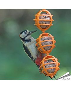 Vrolijke vetbolhouders voor wilde vogels ✔️ Gemaakt van duurzaam kunststof ✔️ Eenvoudig op te hangen & schoon te maken ➤ Bestel op Vogelhuisje.com