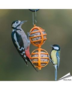 Vrolijke vetbolhouders voor tuinvogels ✔️ Gemaakt van duurzaam kunststof ✔️ Eenvoudig op te hangen & schoon te maken ➤ Bestel op Vogelhuisje.com