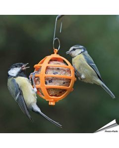 Vrolijke vetbolhouder voor tuinvogels ✔️ Gemaakt van duurzaam kunststof ✔️ Eenvoudig op te hangen & schoon te maken ➤ Bestel op Vogelhuisje.com