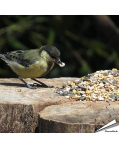 Aniculis Tarwevrij wildvogelvoer 10 kg van premium kwaliteit ✔️ Evenwichtige voeder­mengeling voor wilde vogels ✔️ Het hele jaar door – Voor tuinvogels ➤ Online kopen bij Vogelhuisje.com
