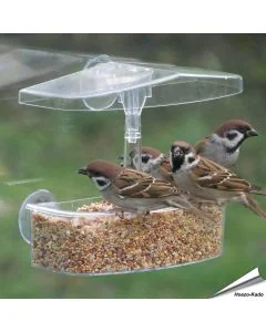 Raamvoederhuis OnLooker