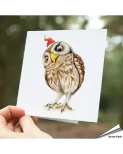 Mooie kerstkaart met de steenuil met feesthoedjes ✔️ Dubbele kaart, met blanco binnenkant ✔️ FSC papier ➤ Koop op www.vogelhuisje.com