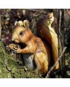 Decoratieve Woodland Friends eekhoorn met noot en grote pluimstaart. Natuurgetrouw vormgegeven en ca. 14 cm hoog. Leuk voor huis of tuin.