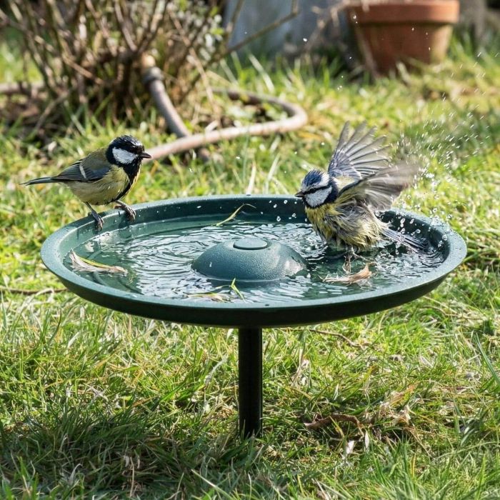 MultiChoice vogelbad van Aniculis in de tuin, koolmees en pimpelmees