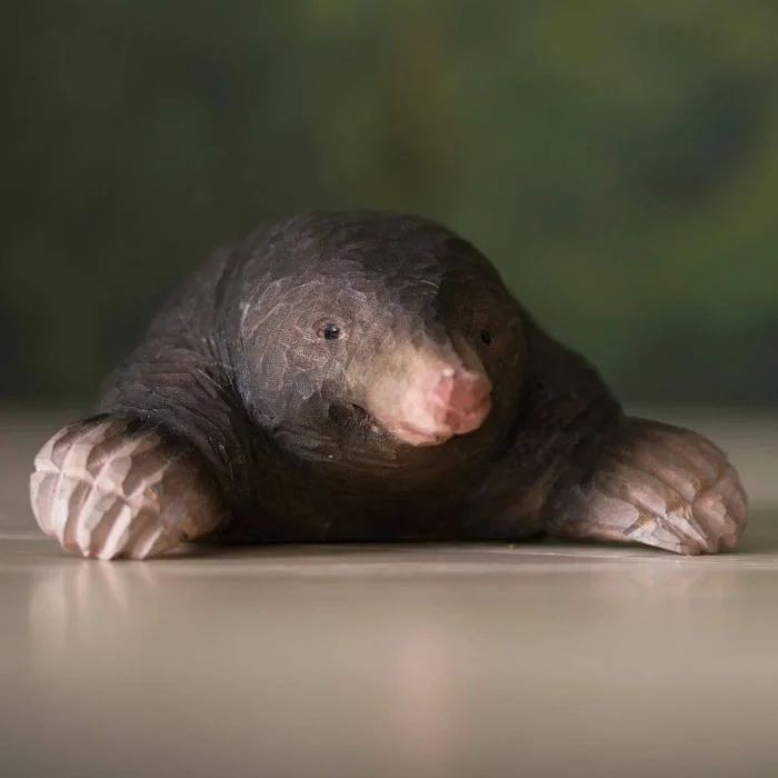 DecoAnimal Mol van Wildlife Garden op een houten ondergrond, met donkerbruine vacht, roze snuit en brede graafpoten met lichtgekleurde klauwen.