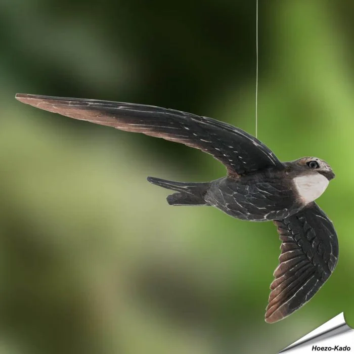 DecoBird Gierzwaluw van Wildlife Garden: natuurgetrouw vormgegeven houten vogel, met de hand beschilderd met verf op waterbasis. Origineel cadeau voor vogelliefhebbers ➤ Vogelhuisje.com