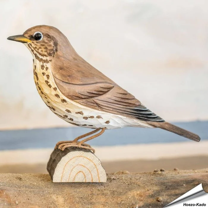 Zanglijster (Turdus philomelos) - Decobird van Wildlife Garden - Koop online op Vogelhuisje.com