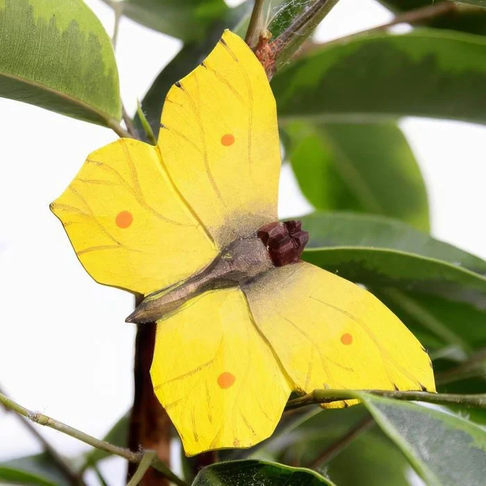 Houten DecoButterfly Citroenvlinder van Wildlife Garden met felgele vleugels, oranje stippen en bruine vleugeladers, gefotografeerd tussen groene plantenbladeren.
