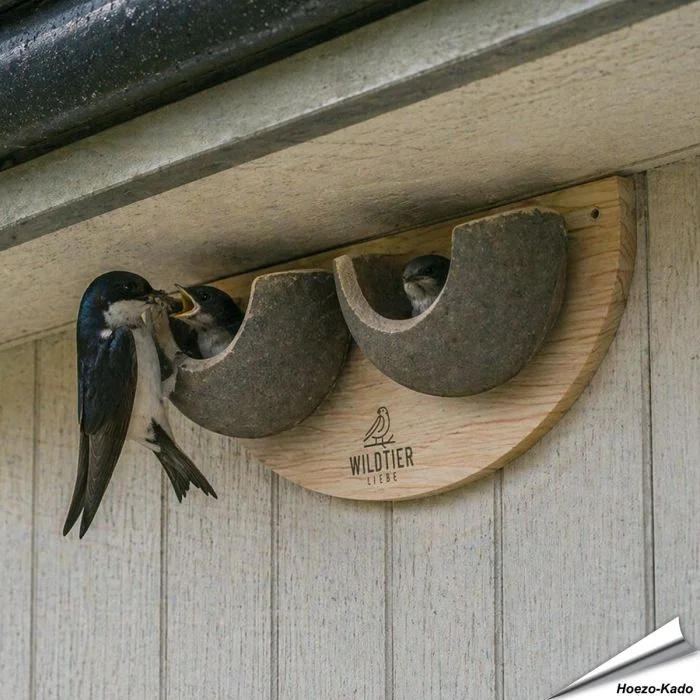Dubbele Nestkast voor de Huiszwaluw ✔️ 100% Natuurlijke materialen ✔️ Twee grote nestschalen ✔️ Duurzaam en Weerbestendig ✔️Help de huiszwaluwpopulatie ➤ Koop nu in onze onlineshop