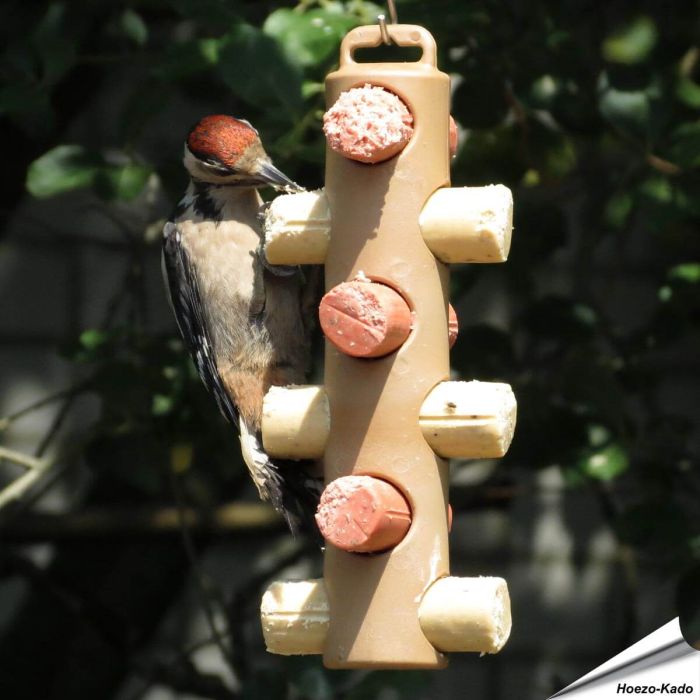 Houder voor 6 energierollen - Voederplek voor wilde vogels - Vogelhuisje.com