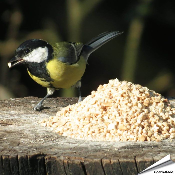 Gehakte pinda's voor tuinvogels - Voedzame en energierijke aanvulling - Vogelhuisje.com