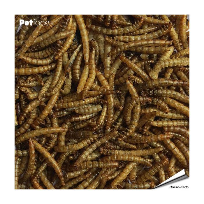 Gedroogde meelwormen (5 kg)