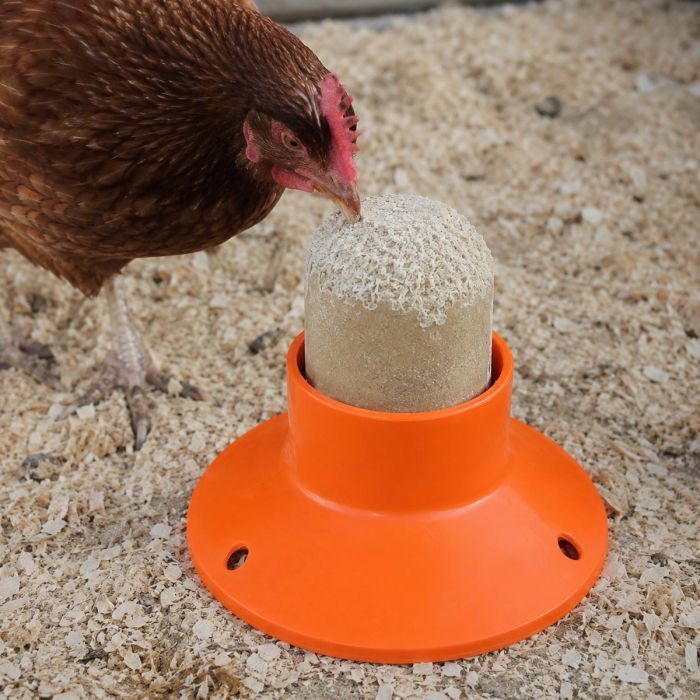 Hentastic Foraging Cake Feeder voor kippen. Houdt de voercake van de grond, meerdere kippen kunnen tegelijk pikken en de houder is herbruikbaar.