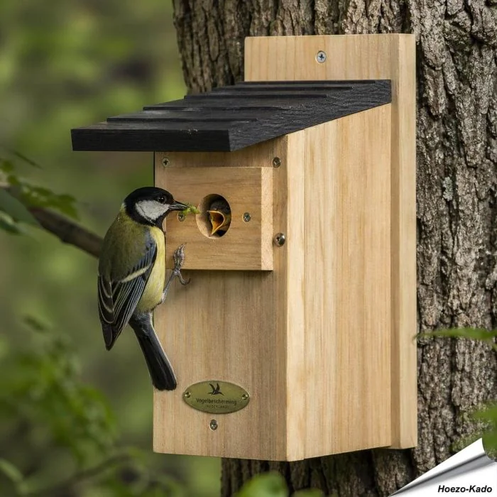 Houten nestkast met 32 mm opening voor koolmees & andere mezen ✔️ FSC-hout ✔️ Goede isolatie - Veilige broedplek voor tuinvogels ➤ Vogelhuisje.com