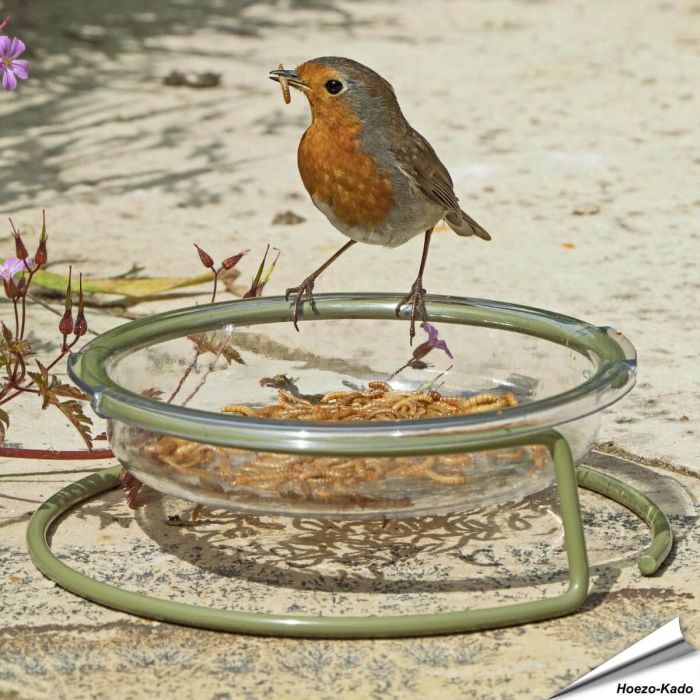 I love Robins Grondvoedertafel - een aanwinst voor elke tuin | Vogelhuisje.com