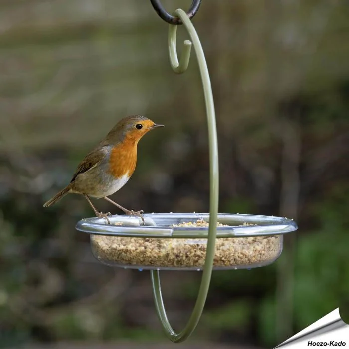 I love Robins - Hangende voedertafel voor vogels | Vogelhuisje.com