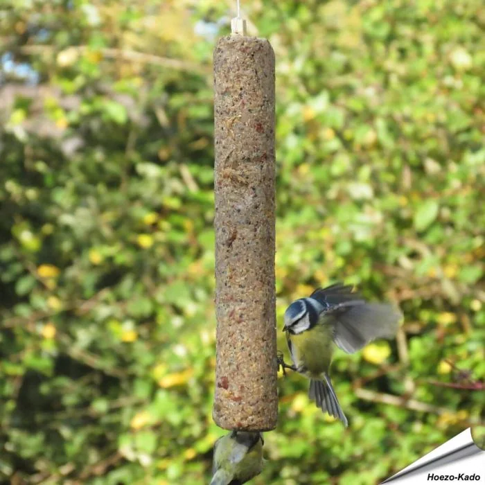 Energievoer voor tuinvogels in je tuin ✔️ Verrijkt met eiwitrijke garnalen ✔️ Direct op te hangen dankzij geïntegreerd touw ✔️ Geschikt voor jaarrond bijvoeren ➤ Bestel vogelvoer eenvoudig online bij Vogelhuisje.com