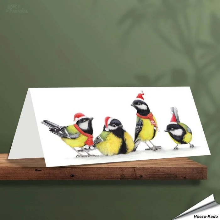 Kerstkaart met leuke koolmezen - Voor natuurliefhebbers - www.vogelhuisje.com