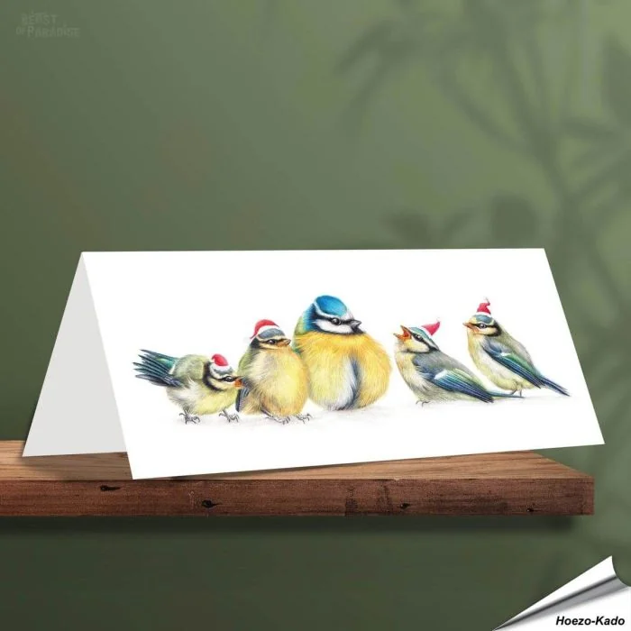 Kerstkaart met leuke pimpelmezen - Voor natuurliefhebbers - www.vogelhuisje.com