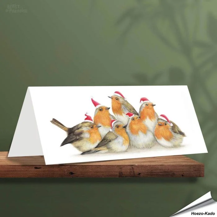 Kerstkaart met leuke Roodborstjes - Voor natuurliefhebbers - www.vogelhuisje.com