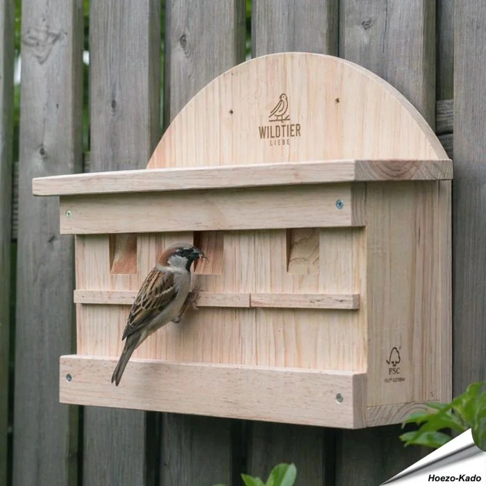 Nestkast voor huismussen en ringmussen ✔️ Onbehandeld massief hout ✔️ 3 ruime nestkamers met aparte openingen ✔️ FSC-hout ➤ Koop nu bij Hoezo-Kado.nl