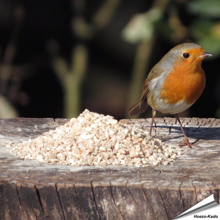 Mix voor kleine vogels No Mess, verpakking van 1 kg