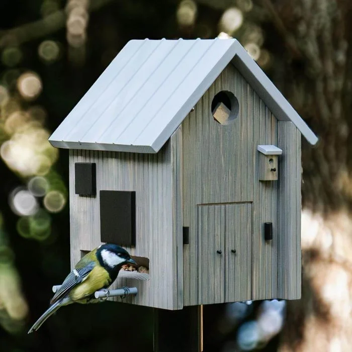 Koolmees eet vogelvoer bij de Multiholk Modern Nordic van Wildlife Garden, een grijs houten nestkast en voederhuis met lichtgrijs zadeldak op een tuinpaal.