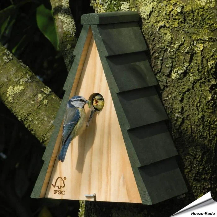 Nestkast Aspen 28mm ✔️ Aanbevolen door Vogelbescherming NL ✔️ Geschikt voor pimpelmees, kuifmees, glanskop en zwarte mees ✔️ FSC-hout ➤ Bestel bij Vogelhuisje.com