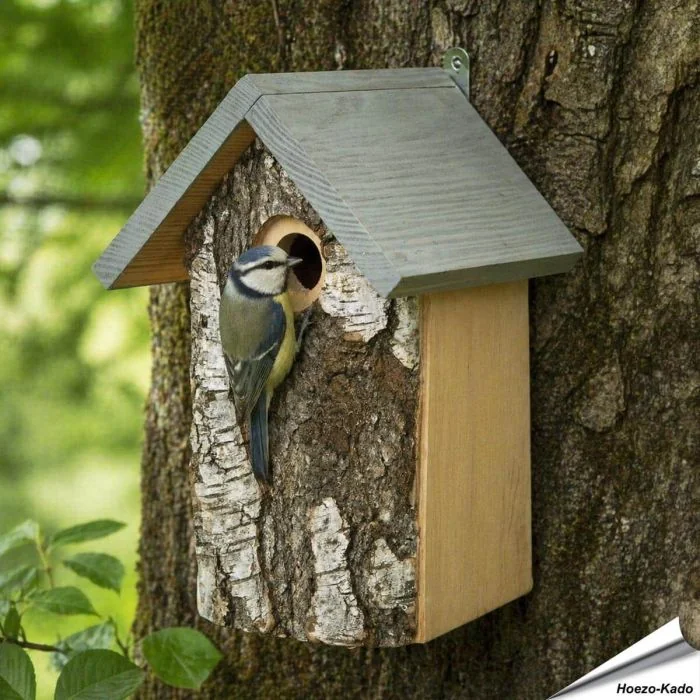Berken nestkast met natuurlijke uitstraling ✔️ Bootst een natuurlijke boomholte na ✔️ Ideaal voor tuinvogels zoals de pimpelmees ➤ Ontdek meer bij Vogelhuisje.com