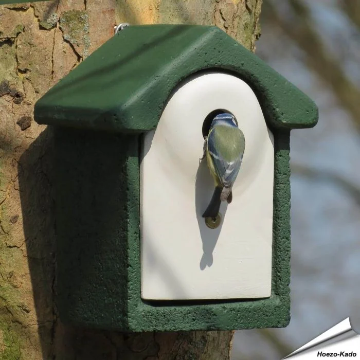 Houtbeton nestkast 28 mm ✔️ Ideaal voor pimpelmezen & kleine mezen ✔️ Duurzaam en isolerend ✔️ Met roofdierbescherming ➤ Shop nu bij Vogelhuisje.com