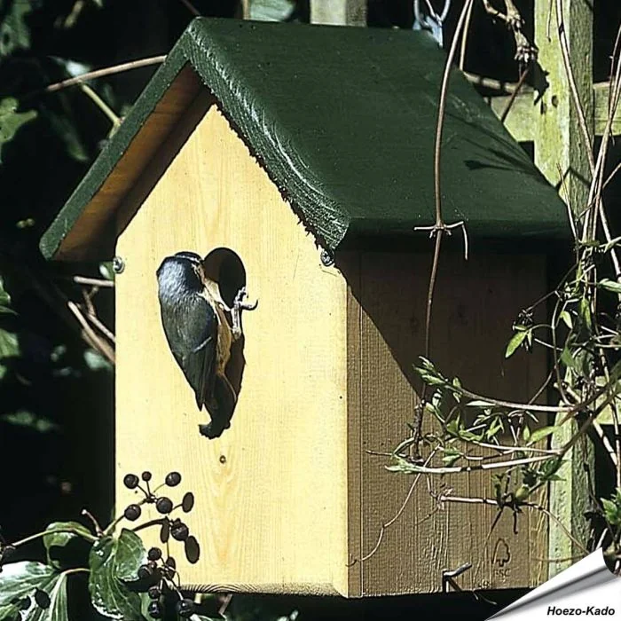 Nestkast Oklahoma voor de Boomklever | Aanbevolen door Vogelbescherming Nederland - Vogelhuisje.com