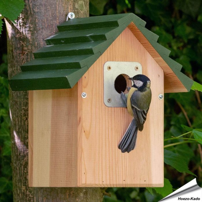 Nestkast Vail met 32 mm opening ✔️ Voor mezen, boomklevers en bonte vliegenvangers ✔️ Steun Vogelbescherming met je aankoop ➤ Vogelhuisje.com