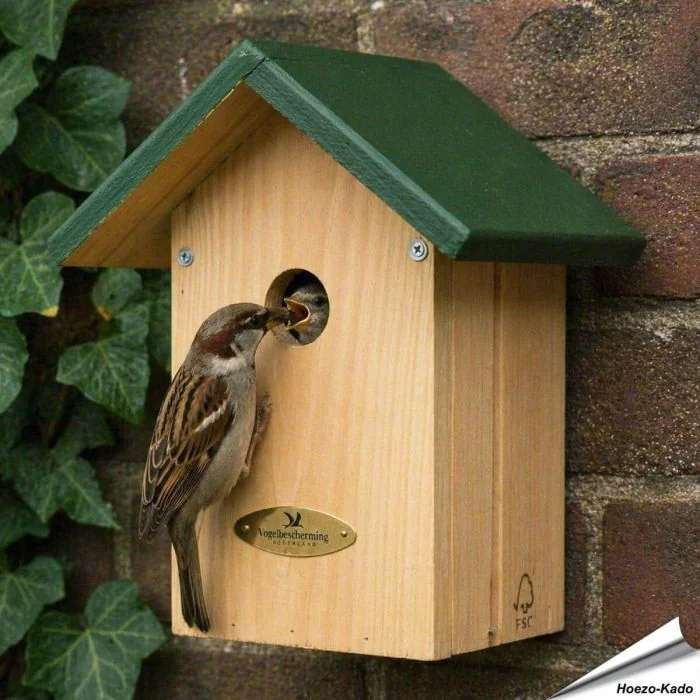 Nestkast huismus "Week van de Nestkast" ✔️ Aanbevolen door Vogelbescherming NL en SOVON ✔️ FSC-gecertificeerd hout ✔️ Mooie geschenkdoos ✔️ Koop bij Vogelhuisje.com