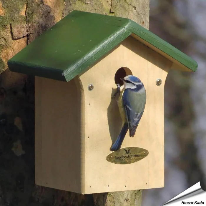 Nestkast pimpelmees "Week van de Nestkast" ✔️ Aanbevolen door Vogelbescherming NL en SOVON ✔️ FSC-gecertificeerd hout ✔️ Mooie geschenkdoos ✔️ Koop bij Vogelhuisje.com