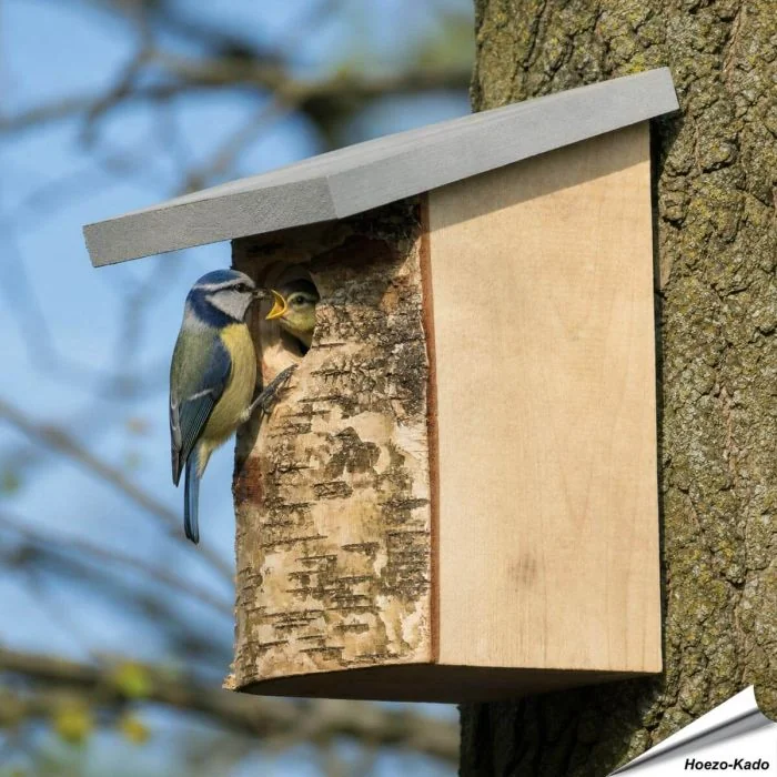 Berken nestkast met natuurlijke uitstraling ✔️ Bootst een natuurlijke boomholte na ✔️ Ideaal voor tuinvogels zoals de koolmees ➤ Ontdek bij Vogelhuisje.com
