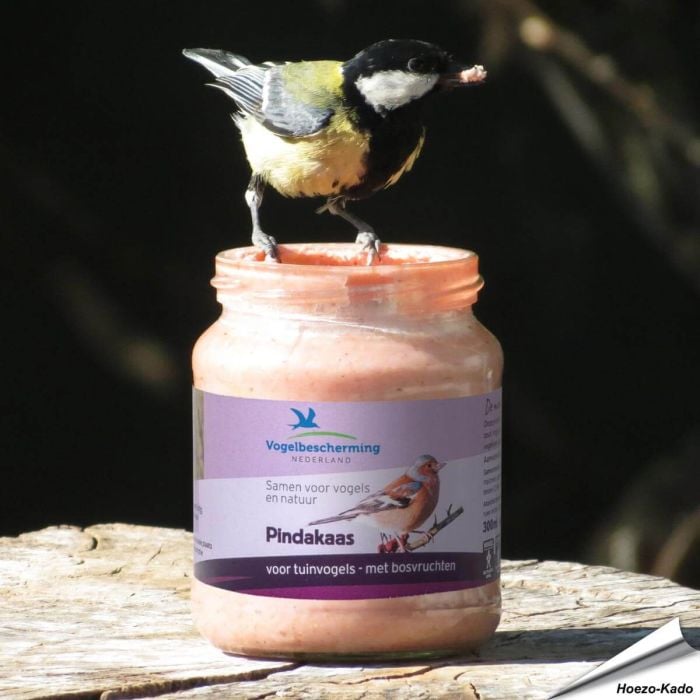Vogelbescherming pindakaas met bosvruchten in glazen pot