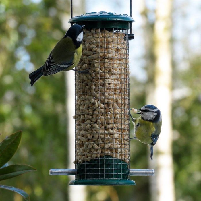 Kunststof pindasilo voor wilde vogels ✔️ Duurzaam en stevig metaal ✔️ Ontworpen voor pinda's / vet traktaties ➤ Bestel op Vogelhuisje.com