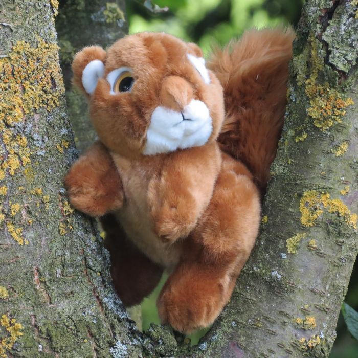 Zachte pluche eekhoorn uit de Wild Watchers collectie. Mooie knuffel met pluizige staart en natuurlijke uitstraling. Leuk als cadeau of decoratie.