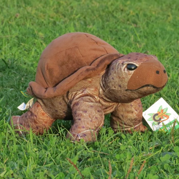 Koop de pluche schildpad van Wild Republic Cuddlekins. Zachte schildpad knuffel van ca. 30 cm, geschikt vanaf 4 jaar en leuk als cadeau of decoratie.