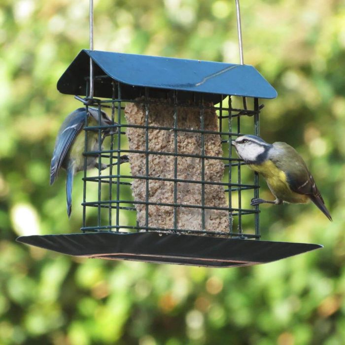 Speciale energieblokhouder met regendak en opvangschaal ✔️ Duurzaam, poedergecoat staal ✔️ Voor kleine en middelgrote tuinvogels ✔️ Direct online bestellen bij Vogelhuisje.com