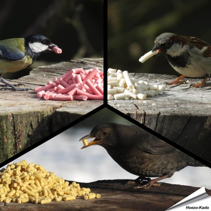 Proefpakket - Traktatie voor tuinvogels in 3 smaken - vogelhuisje.com